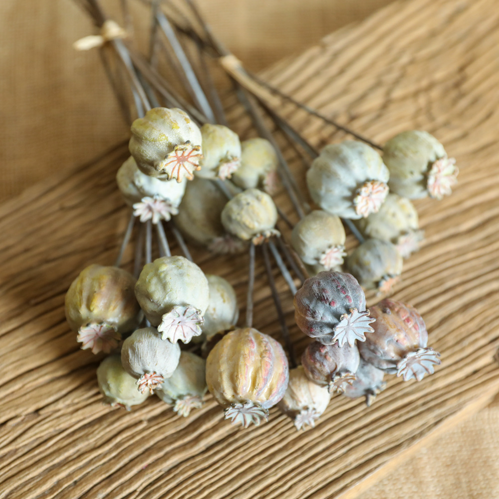 6Heads Poppies Fruit Dried Flo - Dried Fruit Mix review and price