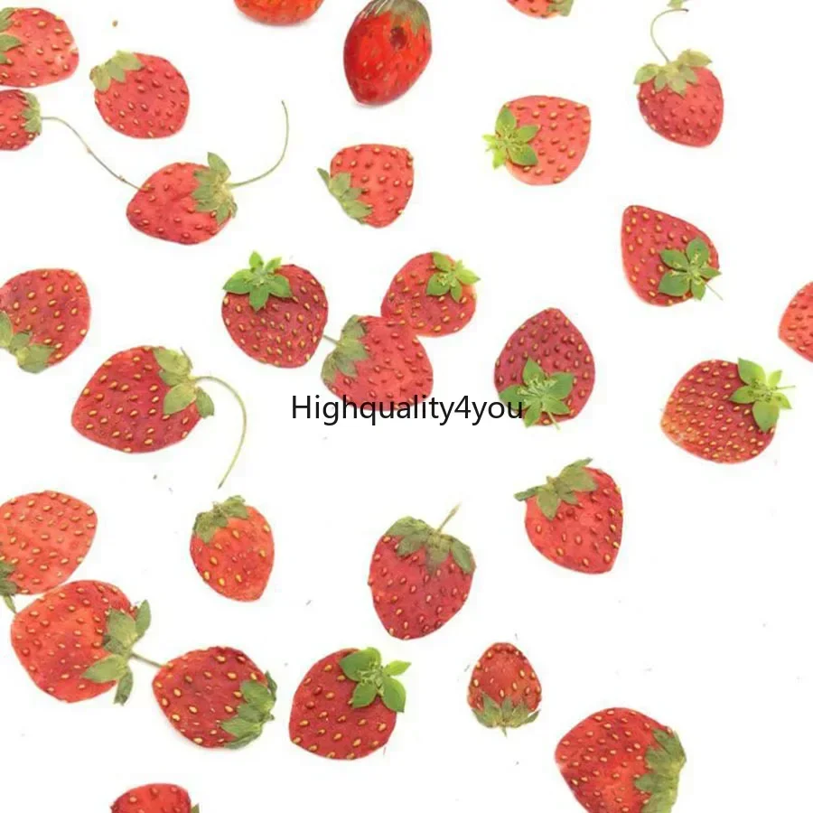 10pcs Dried Pressed Mini Fruit - Dried Fruit Mix review and price