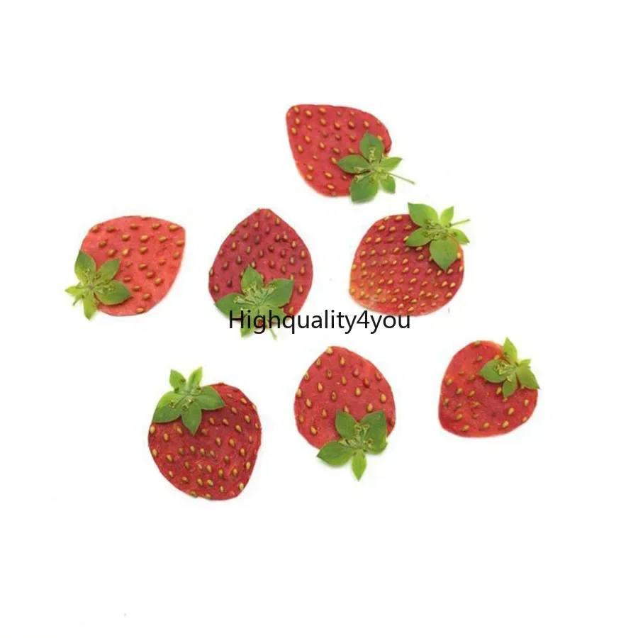 10pcs Dried Pressed Mini Fruit - Dried Fruit Mix review and price